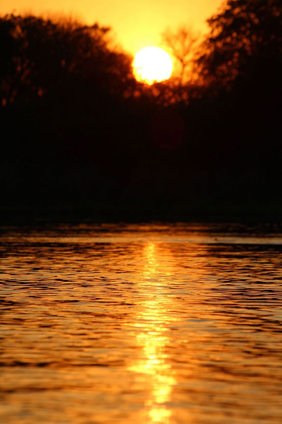 Sonnenuntergang über dem Chobe-Fluss